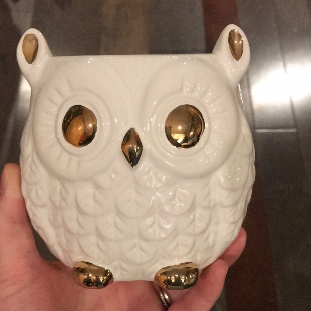 𝅺Charmed aroma owl you need is love candle ring size 6